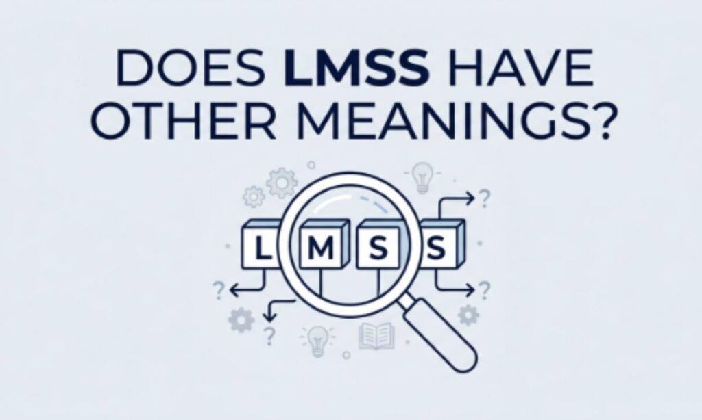 Does LMSS Have Other Meanings